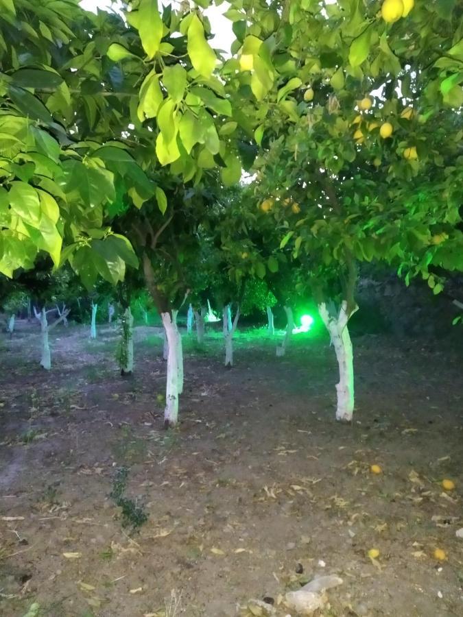 Περιβόλι Του Οδυσσέα Villa Volissos Eksteriør billede